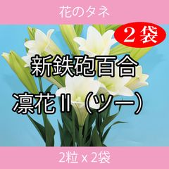 花のタネ TFA03 新鉄砲百合・凛花II（ツー） 2粒 x 2袋