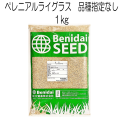 ペレニアルライグラス種子　品種指定なし　1kg【種】紅大貿易　芝の種　芝生の種　寒地型　西洋芝
