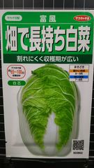 畑で長持ち 白芯 白菜 富風 ハクサイ 種 郵便 ３袋セット