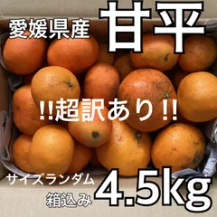 きたーーー‼️数量限定‼️ビックパンツ甘平ちゃん約5kg7980円6 楽天市場】甘平 訳ありの通販
