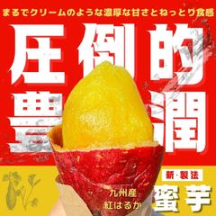 【女性に人気❗️】熟成焼き芋『蜜芋』九州産の紅はるか1.5ｋg
