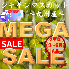 九州産　シャインマスカット　【綺麗】【2キロ】【3房〜6房】　キャンペーン　ブドウ 葡萄 夏 おやつ ぶどう　2kg 綺麗　送料無料 プレゼントフルーツお取り寄せ人気 スイーツ 果物旬のフルーツプレゼント 旬の味覚　国産　日本産スイーツ