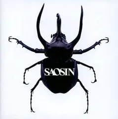 Saosin vinyl along with shadow 限定版オレンジ - 洋楽