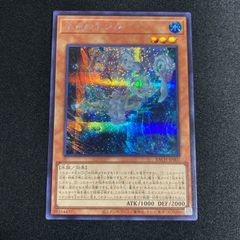 遊戯王　バトルオブカオス　氷水のエジル　【シークレット】