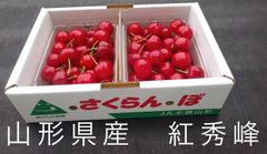 コタママ★ さくらんぼ 甲斐ルビー1キロ★クール便★贈答用 希少！キャンセル分ラスト1箱☆ さくらんぼ 甲斐ルビー1キロ☆クール便