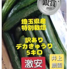 5キロ弱！美味しいきゅうり！リピーター続出！デカきゅうり！　野菜ソムリエサミット銀賞受賞　農家直送　減農薬　有機肥料　ちょいデカきゅうり　訳あり