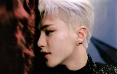 SEVENTEEN Spider HOSHI トレーディングカード 24