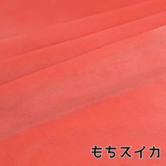 ぬい活　おもちボア　もちスイカ　ストレッチボア