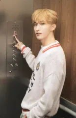 【中古】コレクションカード(男性) 46[ノーマル]：SEVENTEEN/ドギョム(DK)/「2024 SVT 8TH FAN MEETING ＜SEVENTEEN in CARAT LAND＞」トレーディングカード