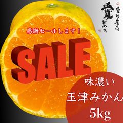 愛媛産　味濃い玉津みかん　家庭用5kg小玉ミックス