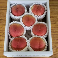 山形県産　桃　季節の白桃　あかつき　秀品　Lサイズ７玉のサムネイル