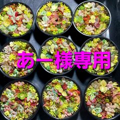 あー様専用