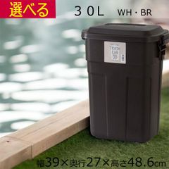 ゴミ箱 ふた付き 30L 日本製 完成品 ブラウン ホワイト幅39 奥行27 高さ48.6cm 完成品