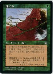 樹上の村/Treetop Village ULG日本語foil Amazon.co.jp: マジックザギャザリング MTG 土地 日本語版 樹上