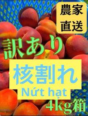 爆盛10kg】信州早生ワッサー 桃 家庭用 クール便 - メルカリ