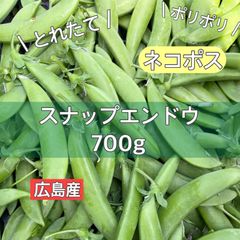 広島産　スナップエンドウ　約700g ネコポス