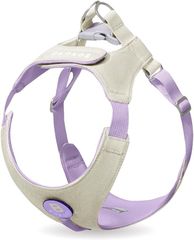 Item thumbnail for item 886fe4b1-f16a-40ea-9704-7aaef851dadd