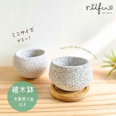 〚 ミニ植木鉢 + 木製受け皿付き 〛軽い鉢 塊根植物　コーデックス　観葉植物