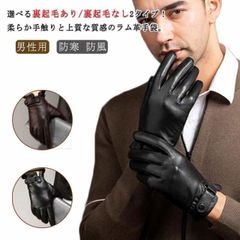 手袋 メンズ 手袋 スマホ対応 メンズ レディース グローブ 手ぶくろ 2タイプ 裏地付 裏起毛 スマホ手袋 防寒 男性用 紳士 防風 通勤 バイク 自転車 サイクリング アウトドア ビジネス 秋冬 #chi4033