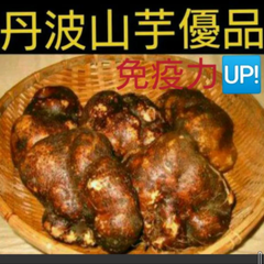 ⭐️丹波産山の芋優品１キロ（山芋）