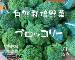 ☆SALE☆自然栽培野菜★ブロッコリー(大玉/80サイズ)