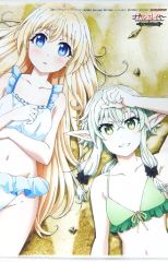 ダンジョンに出会いを求めるのは間違っているだろうかⅣアニメイト特典タペストリー ダンジョンに出会いを求めるのは間違っているだろうかⅣアニメイト特典