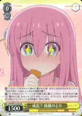 2026年最新】ヴァイスシュヴァルツ ぼっち・ざ・ろっく! ブースター