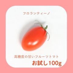【お試し】高糖度フルーツミニトマト　フロランティーノ100g