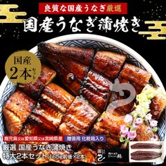 母の日 ギフト 国産うなぎ蒲焼き 165g前後×2本セット 計330g前後 [2-4人前]【タレ・山椒付き】専用化粧箱でお届け★ うなぎ ウナギ 鰻 蒲焼き 丑の日 ますよね