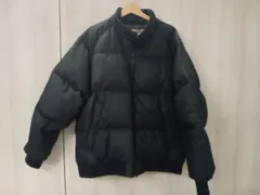 2025年最新】THE NORTH FACE PURPLE LABEL Mountain Down Jacket