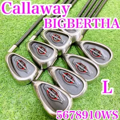 2025年最新】ビッグバーサ アイアン レディースの人気アイテム - メルカリ