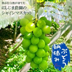 【農家直送】山梨県勝沼産　シャインマスカット　2房