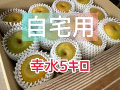 千葉県産 船橋なし 幸水 10玉 約5kg 秀品 - メルカリ