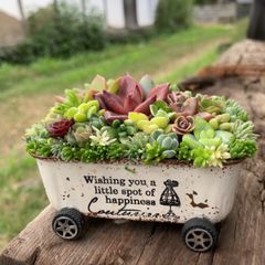 りかさま専用ページ オーダー承ります多肉寄せ植えそのまま飾れるちま寄せ花車