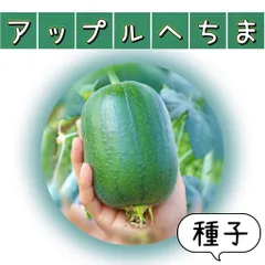 2024年最新】きゅうり1ｋｇ（約10本）の人気アイテム - メルカリ