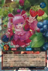 2026年最新】ベリーフレッシュハピネスの人気アイテム - メルカリ