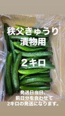 訳あり きゅうり 箱込み約1キロ 訳あり長なす 箱込み約2キロ - メルカリ