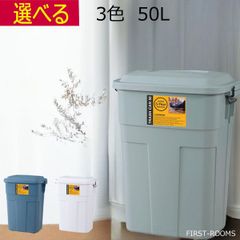 ゴミ箱 ふた付き 50L 日本製 完成品 グリーン ブルー ホワイト 幅45.5 奥行32  高さ57.6cm 完成品 ポリエチレン