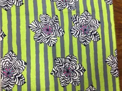 ケイフファセット　ゼブラ