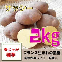 2024年最新】男爵 種芋の人気アイテム - メルカリ