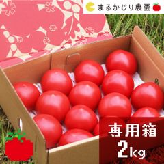 まるかじり農園の自信作　王様トマト　2kg箱