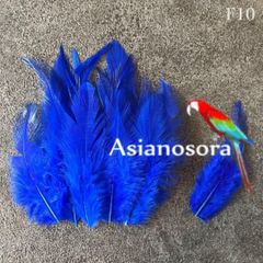 ネコポス◾️⭐︎【F10青】高品質 羽根 フェザー ハンドメイド 素材 鳥 パーツ　鳥の羽根