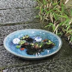 2024年最新】水瓶 めだかの人気アイテム - メルカリ