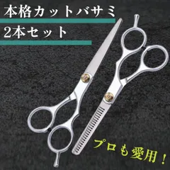 散髪セット ２本セット 家庭用 はさみ すきバサミ 美容師 理容師 セルフ 鋏