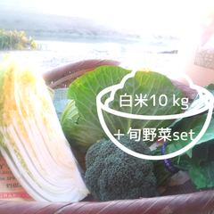 白米１０㎏と季節のお野菜