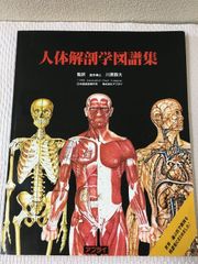 人体解剖ポスター 「骨格筋」「骨格」「神経系」A1ポスター 3枚セット