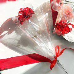 【単品販売】カーネーション