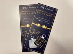 ZTE Libero Flip専用ケース 無料クーポン 2枚セット