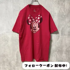 y*0様 ヘインズ ディズニーランド ウォルト・ディズニー・ワールド 半袖Tシャ 海外限定！ウォルトディズニーワールドWaltDisneyworld
