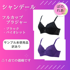 シャンデール　フルカップブラジャー　１点　サンプル未使用品　訳あり